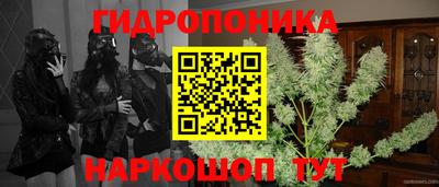 дмт Жуковский